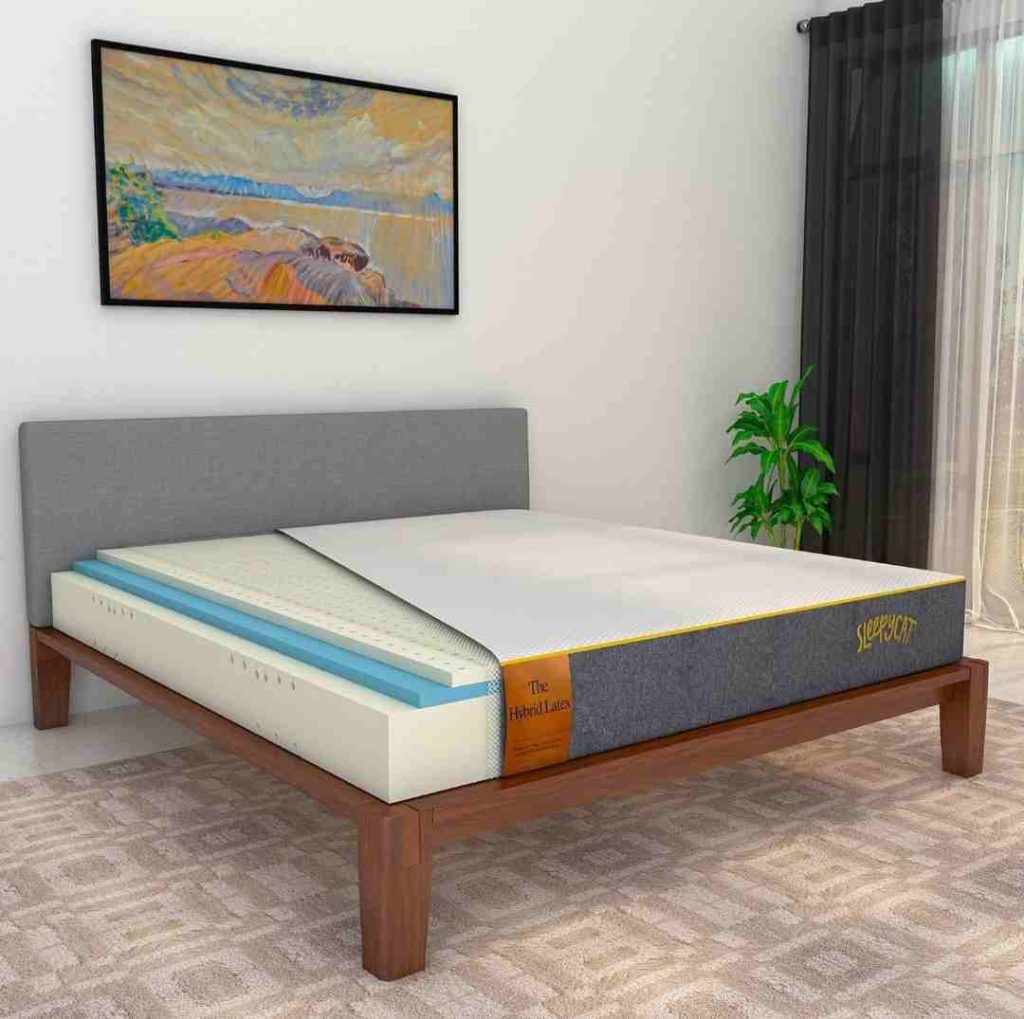 BEST SLEEPING MATTRESS FOR BACK PAIN IN INDIA